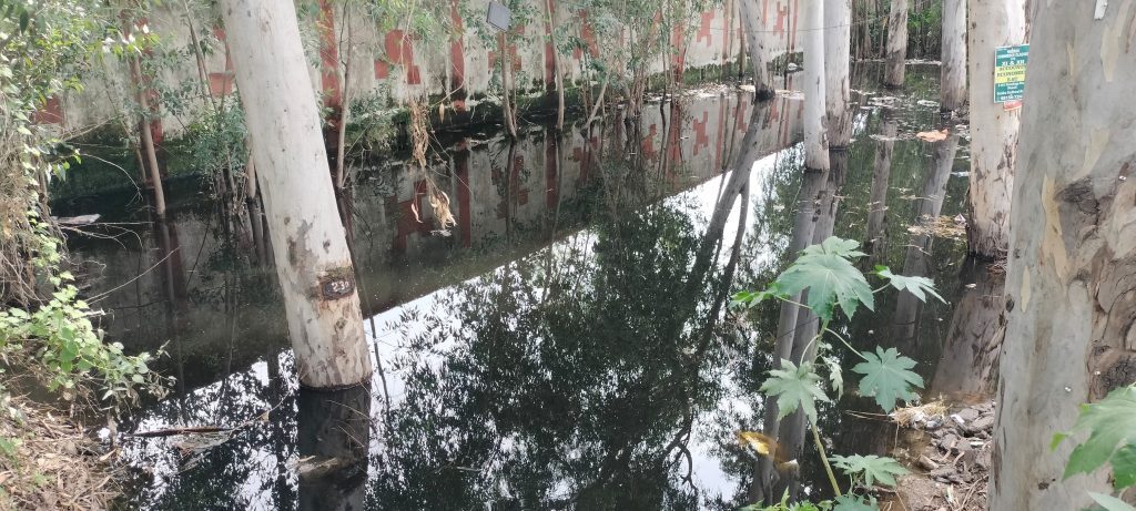 बलटाना लाइट प्वाइंट से ढकोली जाने वाली सड़क की हालात खस्ता हो चुकी