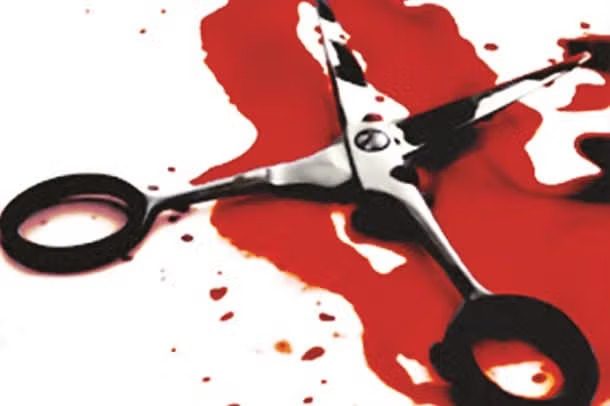 रिश्ते का खून : घरेलू विवाद के चलते पलवल में बेटे ने पिता का कैंची मारकर कर दिया कत्ल