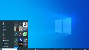 Microsoft Window